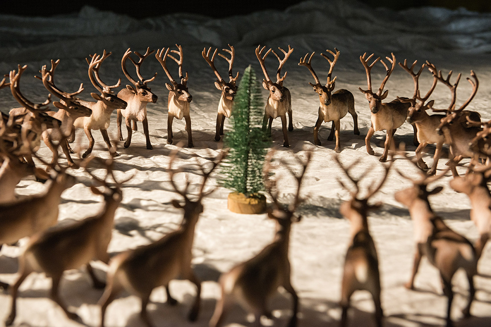Juleforestilling: Hvor er du, Rudolf? 