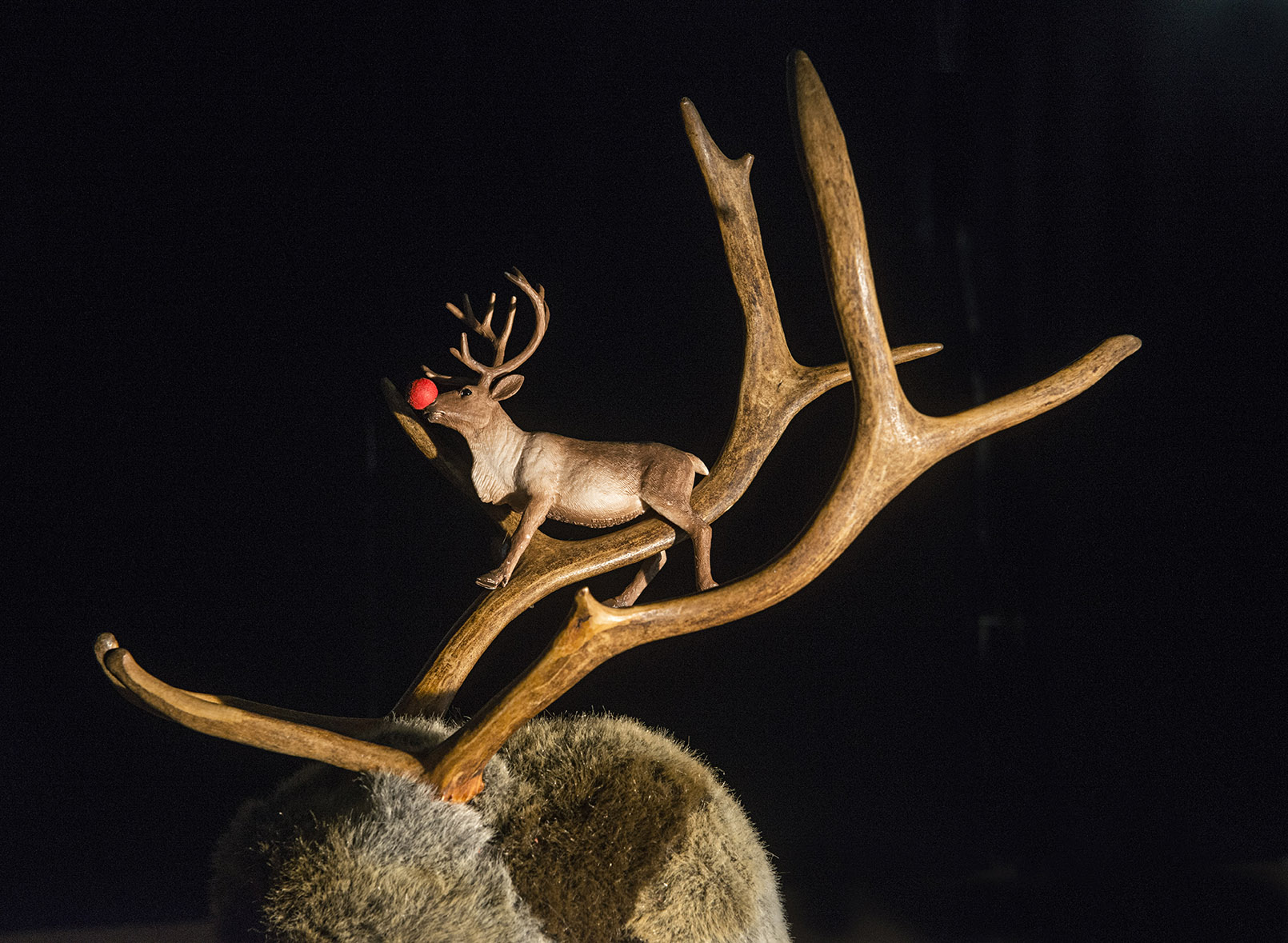 Juleforestilling: Hvor er du, Rudolf? 