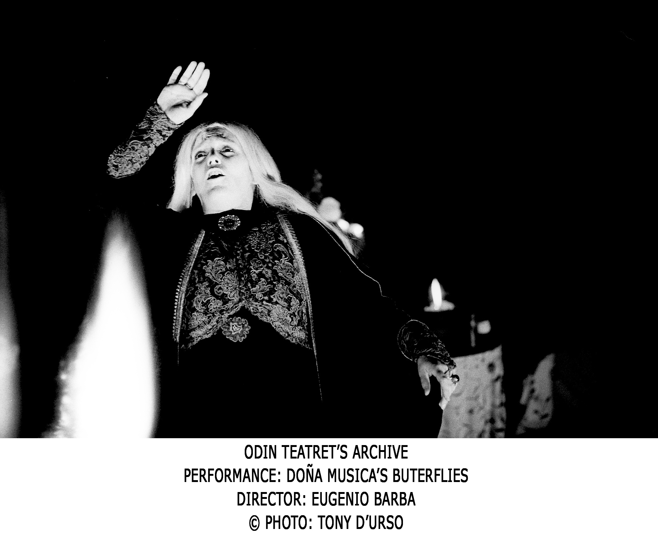 Doña Musica Butterflies - Odin Home