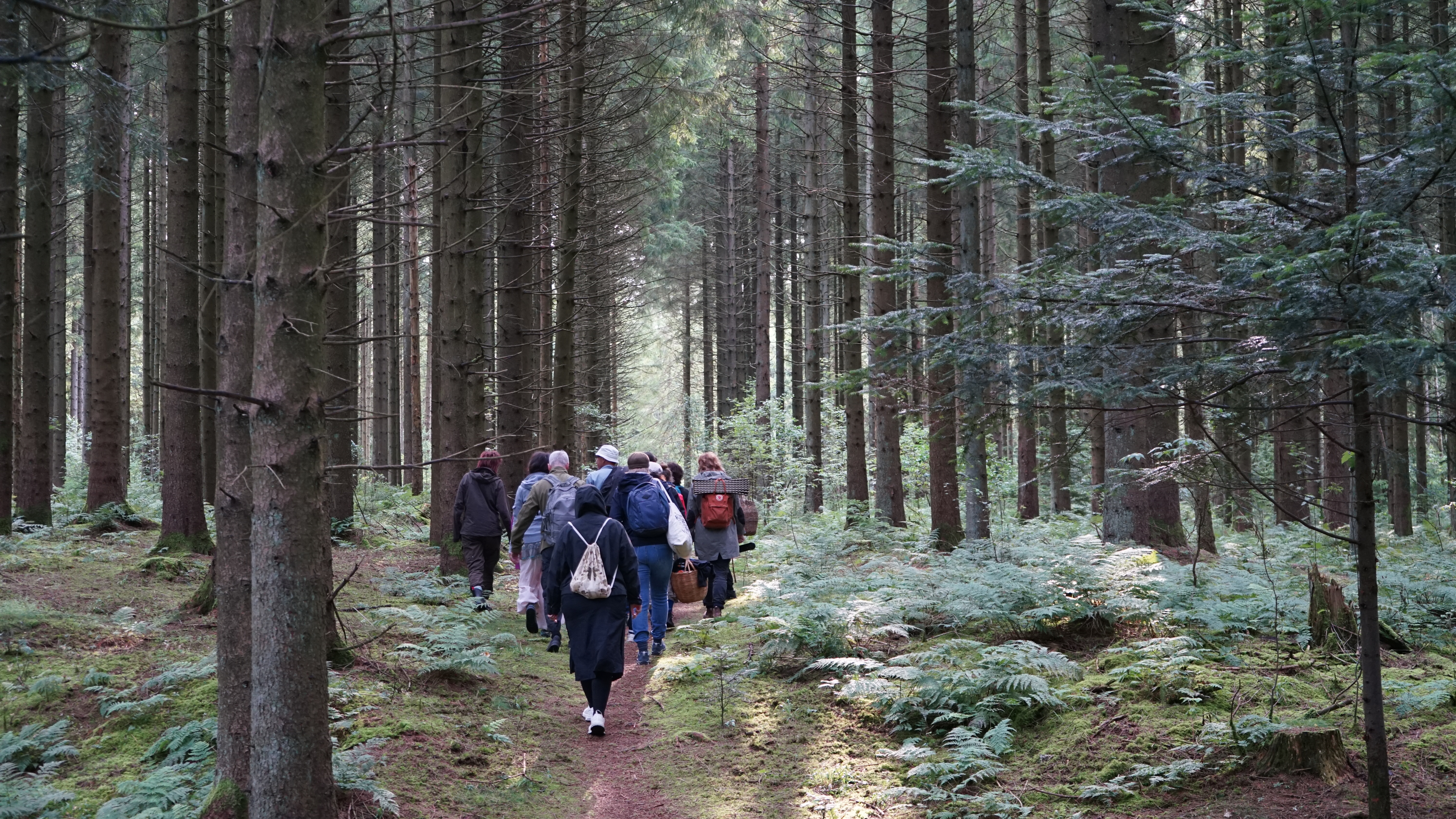 Kunst-Natur Lab 2026